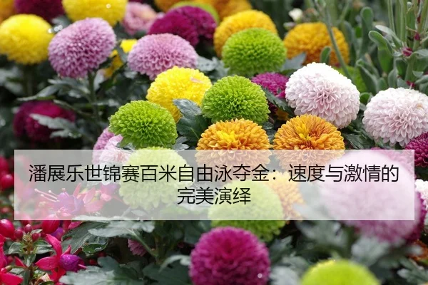 潘展乐世锦赛百米自由泳夺金：速度与激情的完美演绎