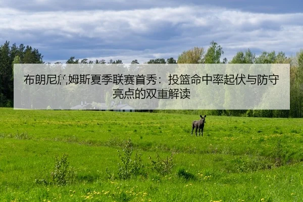 bu-lang-ni-zhan-mu-si-xia-ji-lian-sai-shou-xiu-tou-lan-ming-zhong-lv-qi-fu-yu-fang-shou-liang-dian-de-shuang-chong-jie-2-944.jpg