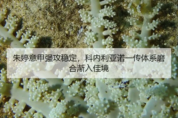 朱婷意甲强攻稳定，科内利亚诺一传体系磨合渐入佳境