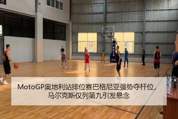 ao-di-li-zhan-pai-wei-sai-ba-ge-ni-ya-qiang-shi-duo-gan-wei-ma-er-ke-si-jin-lie-di-jiu-yin-fa-xuan-nian-3-250.jpg